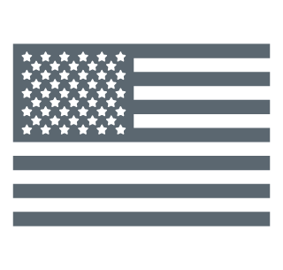 Buy-American-Flag-Icon-320x305